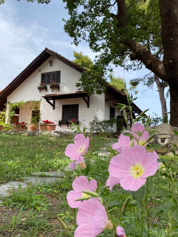 Wild Oaks Cottage Kriopigi Exterior foto